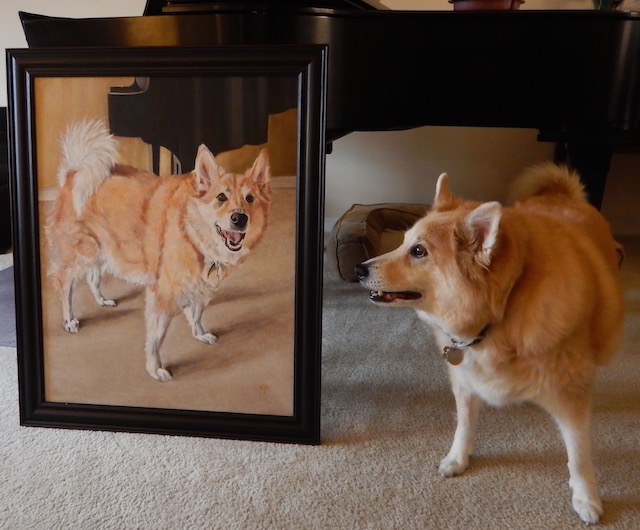 Buddy and Portrait
