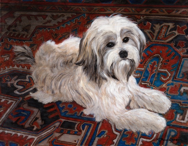 Carter on Rug