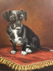 EmmasGranddog.jpeg