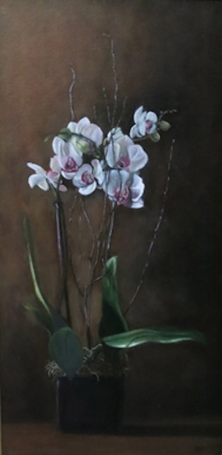Orchid in Black Pot