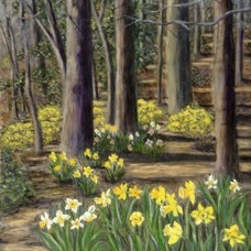 Daffodills.jpg