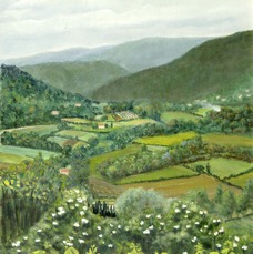 LuberonValleyOnCloudyDay.jpg