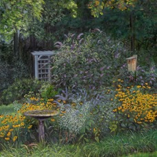 PerennialGarden.jpg