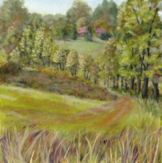 TheConservancy-FieldsToTheWest.jpeg