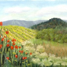 VineyardBeyondPoppies.jpeg